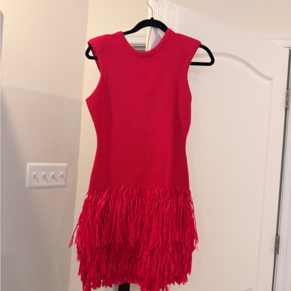 Aje Rushes Raffia Knit Dress . Never Worn - Picture 2 of 5